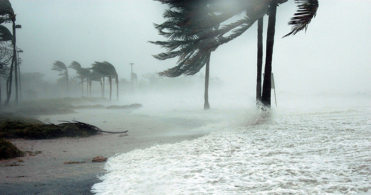 The Impact of a Hurricane on the Energy Market